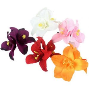 Kal-Lot De 5 Pinces Crocodiles &Agrave; Double Fleur D'orchid&eacute;e Boh&egrave;me Hawa&iuml;enne Pour Femme Et Fille (Couleur Al&eacute;atoire) - Neuf