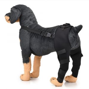 Genouillère Double Pour Chien, Protection Arrière Pour Ligament Croisé Antérieur, Luxation De La Rotule, Arthrite, Maintien Au Chaud De L'articulation, Soutien Supplémentaire, Noir (Xs) - Neuf