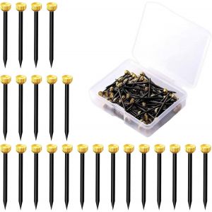 KALANKA-Clous &agrave; tableau 50 pi&egrave;ces en laiton, set de suspension pour tableaux avec bo&icirc;te de rangement, clous, crochets pour cadres photo/tableaux d'affichage/toile (longueur 2,5 cm) - Neuf