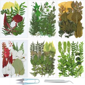 128 PCS Bricolage Fleurs S&eacute;ch&eacute;es Ensemble Feuilles Naturelles Press&eacute;es &agrave; Sec, Pince &agrave; Epiler et Ciseaux, Fleurs Press&eacute;es S&eacute;ch&eacute;es Fleurs Sechees Naturelles pour L'artisanat d'art de Bricolage - Neuf