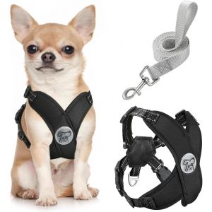 Kalanka-Harnais Pour Chiens Avec Laisse, Harnais S&eacute;curis&eacute; Anti-Traction En Forme De X, Veste Pour Chiens De Petite & Moyenne Taille, Ceinture De S&eacute;curit&eacute; D'animaux R&eacute;glable Pour Promenade, S - Noir - Neuf