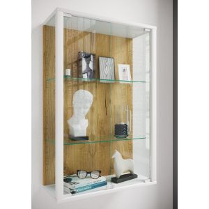 VCM Vitrine murale suspendue vitrine en verre vitrine murale vitrine en verre Udina Vitrine murale suspendue vitrine en verre vitrine murale vitrine en verre Udina - Neuf
