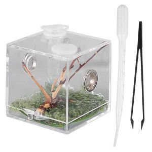 Bo&icirc;te D'&eacute;levage Compacte En Acrylique Pour Reptiles Avec Compte-Gouttes Et Pinces - Terrarium Id&eacute;al Pour Petits Animaux Et Insectes - Neuf