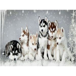 Ayuhr-5d Diy Square Diamond Painting Grand Chien Husky 50x40cm Diamant Carré Carre Strass Point De Croix Broderie Cristal Toile Peinture Puzzle Diamant Broderie Diamant Animaux Animals Par Numéros Ad - Neuf