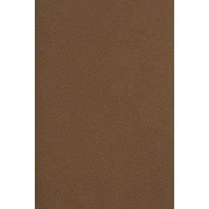 20x Carton Marron 250g Papier D&eacute;coratif A4 210x297mm Burano Tabbacco Id&eacute;al Pour Cartes De Voeux Scrapbooking Bricolage Invitations Art Et Artisanat Anniversaire Diy Loisirs Cr&eacute;atifs - Neuf