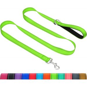 Jgd-Taglory Laisse De Dressage R&eacute;fl&eacute;chissante Pour Chien, Poign&eacute;e Rembourr&eacute;e En N&eacute;opr&egrave;ne Et Crochet En M&eacute;tal, 1.2m X 2.0cm Laisse En Nylon Pour Petits Chiens, Vert - Neuf