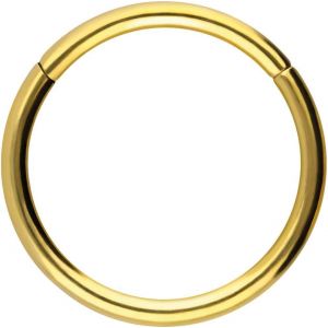 Nbgcm-Anneau Segmenté À Clicker En Titane U2013 Piercing Pour Nez, Septum, Oreille, Hélix Ou Tragus - Neuf
