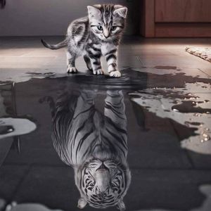 Ayuhr-Kit De Diamant 5d Chat Et Tigre, Chat Et Tigre Point De Croix Kits, 5d Peinture Diamant Complet Motif Chat Blanc, Avec Trousse À Outils Complète, Pour La Peinture D'art Décoration Mmrale À La M - Neuf