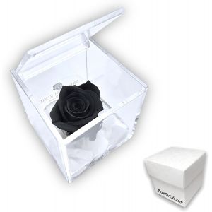 PremiumRose 6 cm Cube Rose Stabilis&eacute; Noir avec Vraie Rose Eternelle, Id&eacute;e Cadeau Maman, Petite Amie, Id&eacute;e Cadeau d'anniversaire, Remise de Dipl&ocirc;me (Noir - A 1067) - Neuf