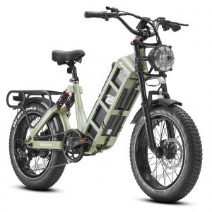 V&eacute;lo &Eacute;lectrique Eahora Juliet 1200w De Moyeu Arri&egrave;re Sans Balais Batterie 48v60ah 20" X 4.0" 45 Km/H Shimano 7s Freins &Agrave; Disque Hydrauliques Avec Coupure Moteur Ipx6 180km - Vert - Neuf