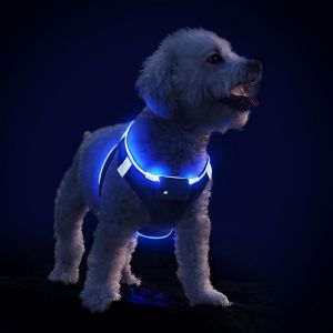 Harnais Lumineux Rechargeable Led Pour Chien, Clignotant Réfléchissant Confortable, Petit Moyen Chiot, Rose-S - Neuf