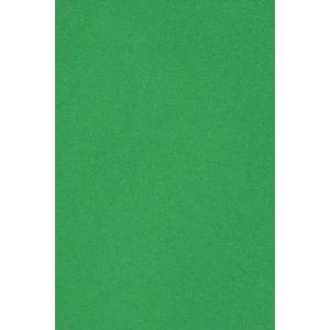 50x Carton Vert 250g Papier D&eacute;coratif A5 148,5x210mm Burano Verde Bandiera Id&eacute;al Pour Cartes De Voeux Scrapbooking Bricolage Invitations Art Et Artisanat Anniversaire Diy Loisirs Cr&eacute;atifs - Neuf