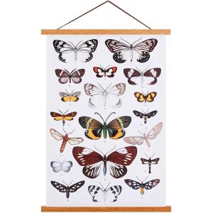 B3 Cadre Photo Magn&eacute;tique 35 cm,Cadre Poster Porte Affiches 35x60 35x40 Aimant&eacute; en Bois Naturel pour Affiche Cadre Magnetique Cadre Affiche Cadre Suspendu (35cm,Teck) - Neuf