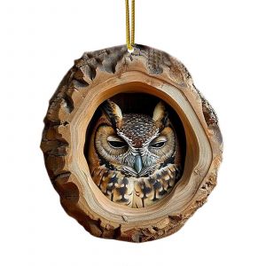 Animal d'Ornement de No&euml;l, la For&ecirc;t, les Animaux les D&eacute;corations de l'Arbre, 2D Acrylique Suspendus Ornement pour les Amoureux des Animaux Don (Hibou) - Neuf