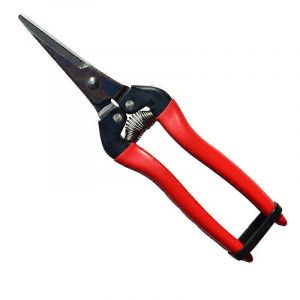 S&eacute;cateur de pr&eacute;cision, ciseaux de jardin, ciseaux de r&eacute;colte pour fruits, fleurs coup&eacute;es, herbes aromatiques, l&eacute;gumes hydroponiques et raisins - Neuf