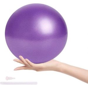 25cm Ballon De Pilates,Yoga Boule,Ballon D'exercices,Mini Ballon De Pilates Avec Paille De Gonflage,Pour Gymnastique Et Le Fitness.[K1050] - Neuf