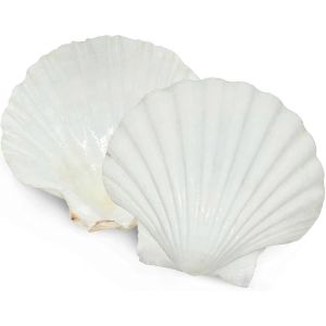 6pcs Coquilles Saint-Jacques Pour Servir De La Nourriture,Coquilles De Cuisson Grandes Coquilles Saint-Jacques Blanches Naturelles De La Plage De La Mer Pour Le D&eacute;cor Artisanal De Bricolage - Neuf