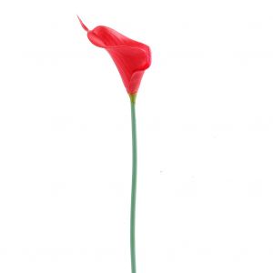 Hjlian Lot De 10 Fleurs De Lys Calla Artificielles Pour Decoration De Mariage Ou De Maison (Rouge) - Neuf