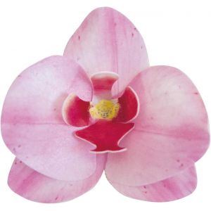 Mevronisshop-Fleurs Comestibles Pour G&acirc;teau, 10 Gaufrettes Orchid&eacute;es Roses 8.5 X 7.5 Cm, Sans Sucre, Sans Gluten, Sans Lactose, D&eacute;coration G&acirc;teau Pour Anniversaire, Mariage, Bapt&ecirc;me - Neuf