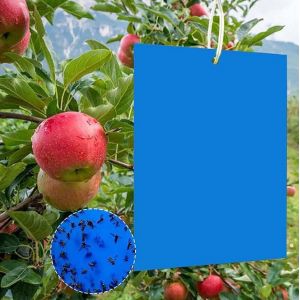 30 Pcs Insecte Volant Pièges, 30 Pcs Adhésif Double Face Bleu Insectifuge Papier Imperméable pour Plantes de Jardin de Fleurs de Fruits de Protection (Élastique Liens Inclus) - Neuf