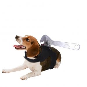 Gilet Coupe-Sang Pour Chien D'halloween, Costume Effrayant, Realiste, Accessoires De Cosplay Pour Animaux De Compagnie, Accessoire Delicat - Neuf