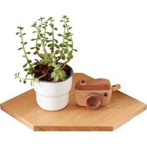 CAUC-Etagere d'angle Bois Massif, Etagere d&iquest;Angle Flottante en Ch&ecirc;ne avec Trou m&eacute;tallique pour c&acirc;ble, Petite Etagere d'angle Murale pour Plantes, Chambre &agrave; Coucher, Salon, Cuisine - Neuf