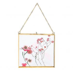 Cadre mural en verre pour fleurs pressées - Cadre en verre pour photos,cadres,cartes,affiches,certi - Neuf
