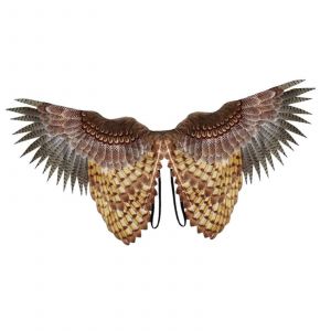 Aile d'oiseau Enfants Enfants Costume Accessoires Aigle Filles Garçons Hibou Aile Accessoire pour Halloween Party Festival Costume Jeux de rôle - Neuf