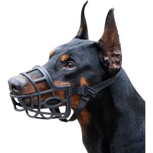 Muselière Confortable Et Respirante Pour Grands Chiens - Réglable, Durable Et Sûre Pour L'entraînement Et La Socialisation - Neuf