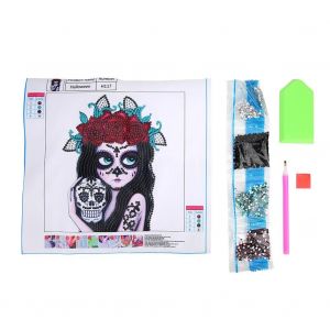 Fille En Forme Diamant Peinture Artisanat Artisanat Diy R&eacute;sine Diamant Broderie Kit De Peinture - Neuf