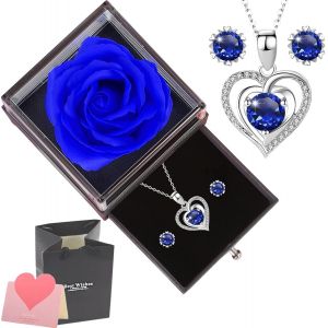 Bo&icirc;te &agrave; Bijoux Rose Artificielle &eacute;ternelle, Collier Coeur + Boucles d'oreilles + Carte de Voeux, pour No&euml;l Idee Cadeau Anniversaire Saint Valentin Mariage Fete des Meres pour Femme Maman - Neuf