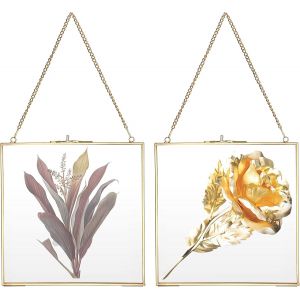 meimie-Lot De 2 Cadres Photo En Verre Doré À Suspendre - 20 X 20 Cm - Pour Famille,Mariage,Photo - Ornement Géométrique - Plante - Clip Pour Fleurs Pressées - Neuf