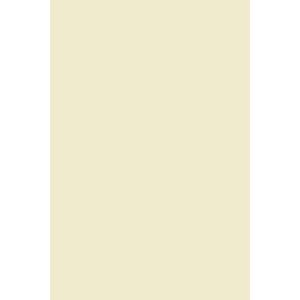 20x carton ivoire 240g A5 148x210 mm Lessebo Smooth Ivory carton crème carton de bricolage carton décoratif de haute qualité pour étiquettes cartes de visite marque-place flyers brochures - Neuf