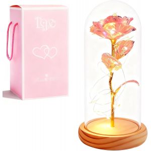 La Belle et la B&ecirc;te Rose &eacute;ternelle - Cadeau de fleurs pour femmes, Rose sous cloche en verre avec LED et support en bois pour m&egrave;re, &eacute;pouse ou petite amie pour No&euml;l, Saint-Valentin - Poudre color&eacute;e - Neuf