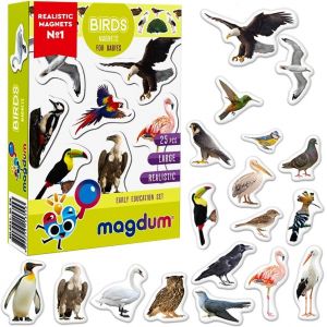 KAL-25 Magnet Enfant Oiseaux Foto - Aimant Animaux Magnetiques - Aimant Frigo Enfant - Animaux Magnetique - Jeux Aimanté Enfant - Magnet Frigo Enfant - Jeux Magnetique Enfant - Jouet Enfant 3 Ans - Neuf
