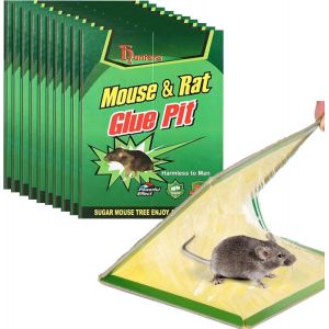 KALANKA-Piège à Souris à Rats, Plaques Collantes Souris, Plaques de glu Anti Souris Anti Rat Pack de 10 Pièges à Souris, Attrape Moustiques Cafards, piege a Rat et Souris - Neuf