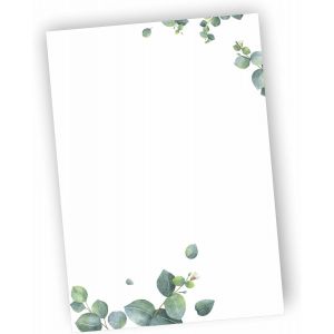 Lot De 20 Feuilles De Papier &Agrave; Lettre Eucalyptus Din A5 - Neuf