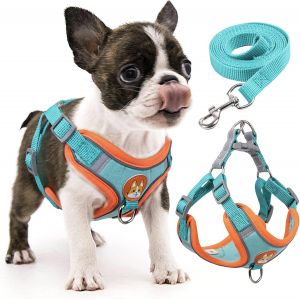Harnais Pour Chien Anti-Tir, Harnais R&eacute;glable Pour Chiot Avec 2 Clips De Laisse, Harnais R&eacute;fl&eacute;chissant Et Ensemble De Laisse Pour Chiens De Petite Et Moyenne Taille (Bleu Vif, S) - Neuf