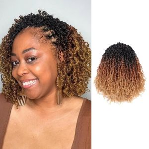 Cheveux Synthétiques Pré-Torsadés Au Crochet Yanky Twist (20, 25, 30 Cm, 24 Mèches/Pièces) - Neuf