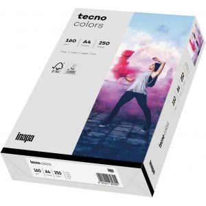Colors Lot De 250 Feuilles De Papier Coloré 160 G/M² Gris Clair Format A4 - Neuf