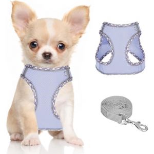 Eryi-Harnais Pour Chiens De Petite Taille Et De Taille Moyenne, Harnais Et Laisse Pour Chiots, Harnais En Maille Réfléchissante Et Respirante, Gilet Doux Et Rembourré Pour Chiens - Neuf