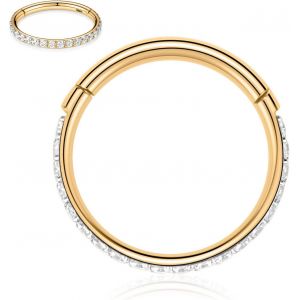 Tianyi-Piercings En Acier Chirurgical 316l Et Oxyde De Zirconium Pour Oreille Et Nez - Calibres 20, 18, 16, 14 - Anneaux Pour Homme Et Femme - Neuf