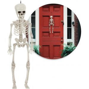 Trahoo-&reg; Squelette D&eacute;coratif Pour Halloween - Squelette En Plastique &Agrave; Accrocher - Squelette Avec Facteur Effrayant Pour Halloween, Carnaval, Soir&eacute;es &Agrave; Th&egrave;me (L - 1 Squelette - 40cm) - Neuf