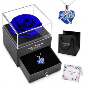Rose eternelle avec Collier C?ur Cristal Femme,Pendentif Argent Pr&eacute;serv&eacute;e Fleur Rose Eternelle avec Bijoux, Conserv&eacute;e Roses Bo&icirc;te pour Maman Grands M&egrave;res Copine - Neuf