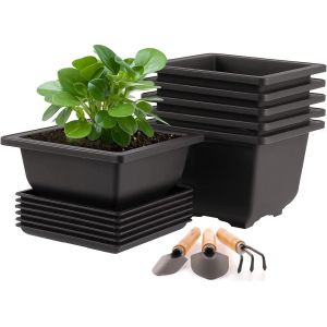 ERYI-Lot De 6 Pot Pour Bonsai Avec Soucoupe, 12X12X6Cm Pots De Fleurs En Plastique Avec Outillage De Jardin, Pots À Bonsaï Carré Avec Trou D'Échappement Pour Jardins Balcon Extérieur Intérieur - Neuf