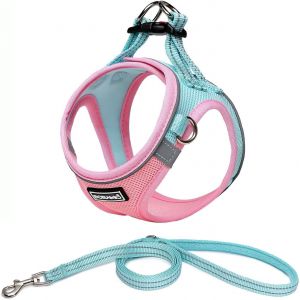 Harnais Chien, Step-In Harnais Pour Chiens Avec Laisse, R&eacute;fl&eacute;chissant Respirant Mesh Doux Confort R&eacute;glable Gilet Harnais Pour Petite Chiens Chats Pour Marcher Courir (Rose Bleu, Xxs) - Neuf