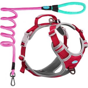 Kalanka-Harnais Anti-Traction Respirant Avec Poign&eacute;e - Gilet De S&eacute;curit&eacute; Rembourr&eacute; R&eacute;fl&eacute;chissant Pour Chien Avec Laisse Fluo R&eacute;fl&eacute;chissante - Taille M - Rouge - Neuf