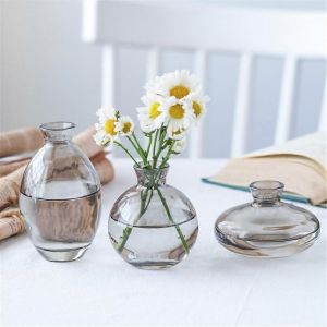 Petit Vase en Verre Transparent Hydroponique de Fleurs S&eacute;ch&eacute;es Vase Ensemble de Trois, Gris D&eacute;coratifs, Ornements pour la D&eacute;coration de la Maison - Neuf