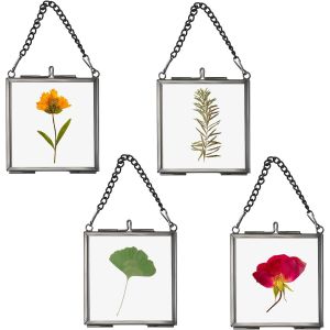 CMWX-Lot de 4 mini cadres photo carrés en métal et verre à suspendre - Ornement géométrique - Plante - Clip en verre pour fleurs pressées - 7 x 7 cm - Noir - Cadre uniquement - Neuf