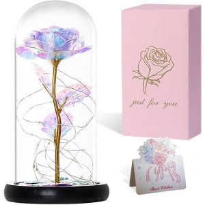 La beaut&eacute; et la b&ecirc;te rose dans un d&ocirc;me en plastique - Rose &eacute;ternelle avec &eacute;clairage LED - Cadeau pour anniversaire, anniversaire de mariage, Saint-Valentin, mariage, petite amie, femme - Neuf